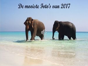 de_mooiste_foto_s_van_2017