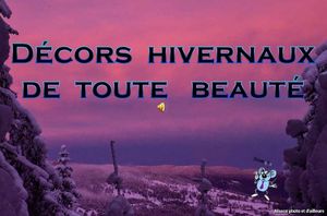 decors_hivernaux_de_toute_beaute__roland