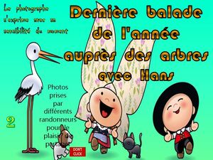 derniere_balade_de_lannee_aupres_des_arbres__roland