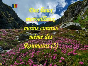 des_lieux_merveilleux_moins_connus_meme_des_roumains_5__stellinna
