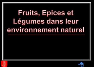 devinez_quel_fruit_d_apres_ces_fleurs