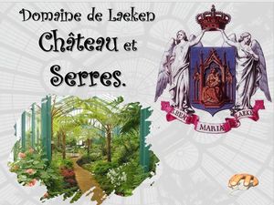 domaine_de_laeken__p_sangarde