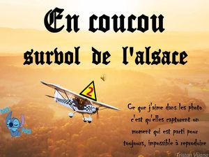 en_coucou_survol_de_l_alsace_2__roland