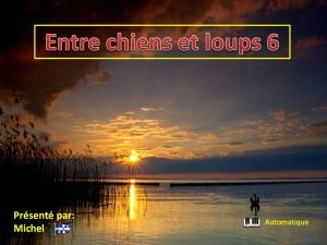 entre_chiens_et_loups_6_michel