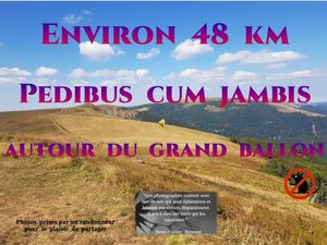 environ_48km_pedibus_cum_jambis_autour_du_grand_ballon__roland