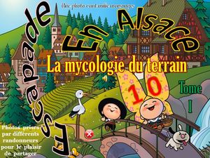 escapade_en_alsace_10_la_mycologie_du_terrain_1__roland