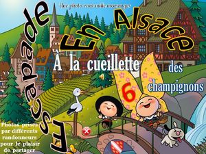 escapade_en_alsace_6_a_la_cueillette_des_champignons__roland