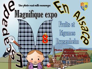 escapade_en_alsace_8_magnifique_expo_fruits_et_legumes__roland