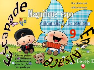 escapade_en_alsace_9_magnifique_expo_automnale__roland