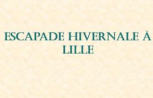 escapade_hivernale_a_lille_mauricette3