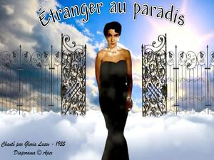 etranger_au_paradis__apex