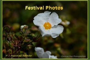 festival_photos_de_christian_man_1__jackdidier