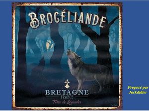 foret_de_broceliande__jackdidier