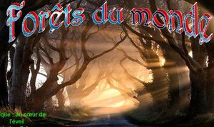 forets_du_monde_apex