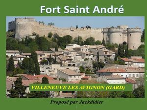 fort_saint_andre_villeneuve_les_avignon__jackdidier