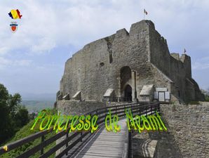 forteresse_de_neamt__stellinna