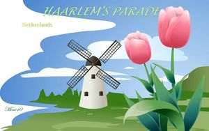 haarlem_s_parade_2__mimi_40