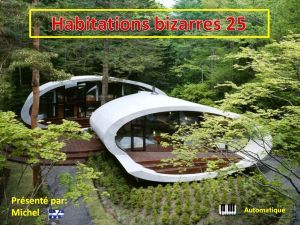 habitations_bizarres_25_michel