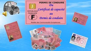 histoire_du_permis_de_conduire_phil_v