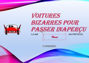 hr214_voitures_bizarres_pour_passer_inapercu_riquet77570