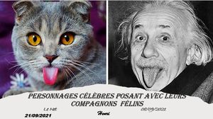 hr223_personnages_celebres_posant_avec_leurs_compagnons__felins_riquet77570