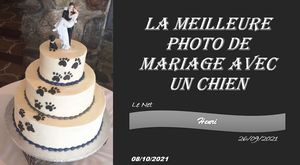 hr240_la_meilleure_photo_de_mariage_avec_un_chien_riquet77570