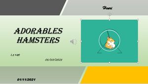 hr247_adorables_hamsters_riquet77570