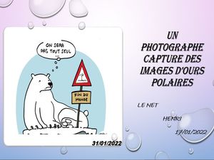 hr316_un_photographe_capture_des_images_d_ours_polaires_riquet77570