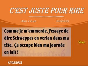 hr334_c_est_juste_pour_rire_riquet77570