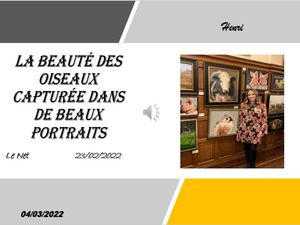 hr347_la_beaute_des_oiseaux_capturee_dans_de_beaux_riquet77570