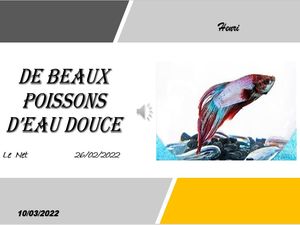 hr352_de_beaux_poissons_d_eau_douce_riquet77570