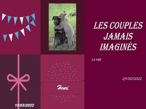 hr353_les_couples_jamais_imagines_riquet77570
