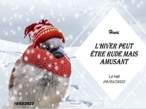 hr359_l_hiver_peut_etre_rude_mais_amusant_riquet77570