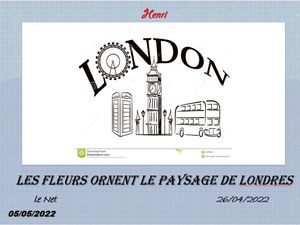 hr404_les_fleurs_ornent_le_paysage_de_londres_riquet77570