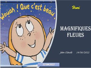 hr438_magnifiques_fleurs_riquet77570