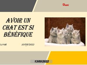 hr509_avoir_un_chat_est_si_benefique_riquet77570