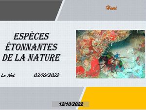 hr533_especes_etonnantes_de_la_nature_riquet77570