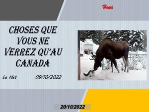 hr540_choses_que_vous_ne_verrez_qu_au_canada_riquet77570