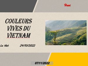 hr559_couleurs_vives_du_vietnam_riquet77570