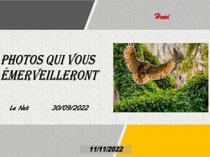 hr563_photos_qui_vous_emerveilleront_riquet77570