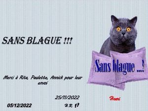 hr587_sans_blague_riquet77570