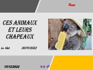 hr594_ces_animaux_et_leurs_chapeaux_riquet77570