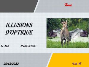 hr607_illusions_d_optique_riquet77570