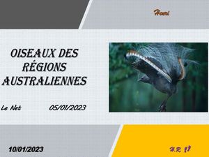 hr619_oiseaux_des_regions_australiennes_riquet77570