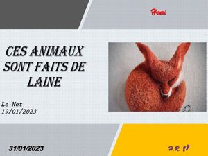 hr639_ces_animaux_sont_faits_de_laine_riquet77570