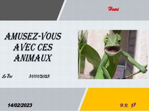 hr653_amusez_vous_avec_ces_animaux_riquet77570