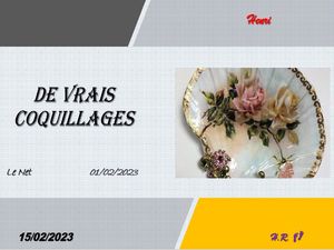 hr654_de_vrais_coquillages_riquet77570