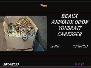 hr775_beaux_animaux_qu_on_voudrait_caresser