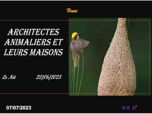 hr781_architectes_animaliers_et_leurs_maisons