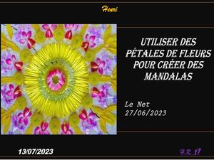 hr787_utiliser_des_petales_de_fleurs_pour_creer_des